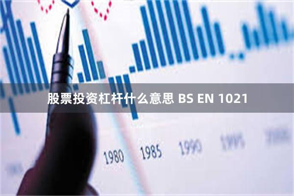 股票投资杠杆什么意思 BS EN 1021